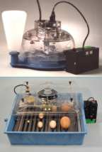 Lyon Electric Incubators