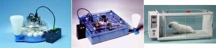 Turn-X Incubator with automatic turner